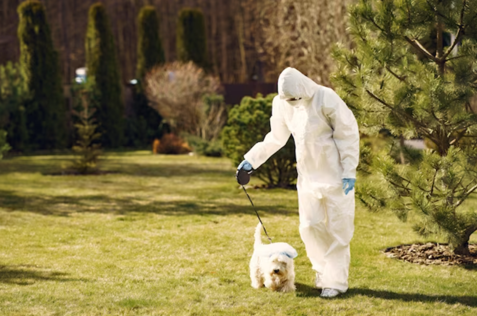 Environmental Control for Flea and Tick Prevention