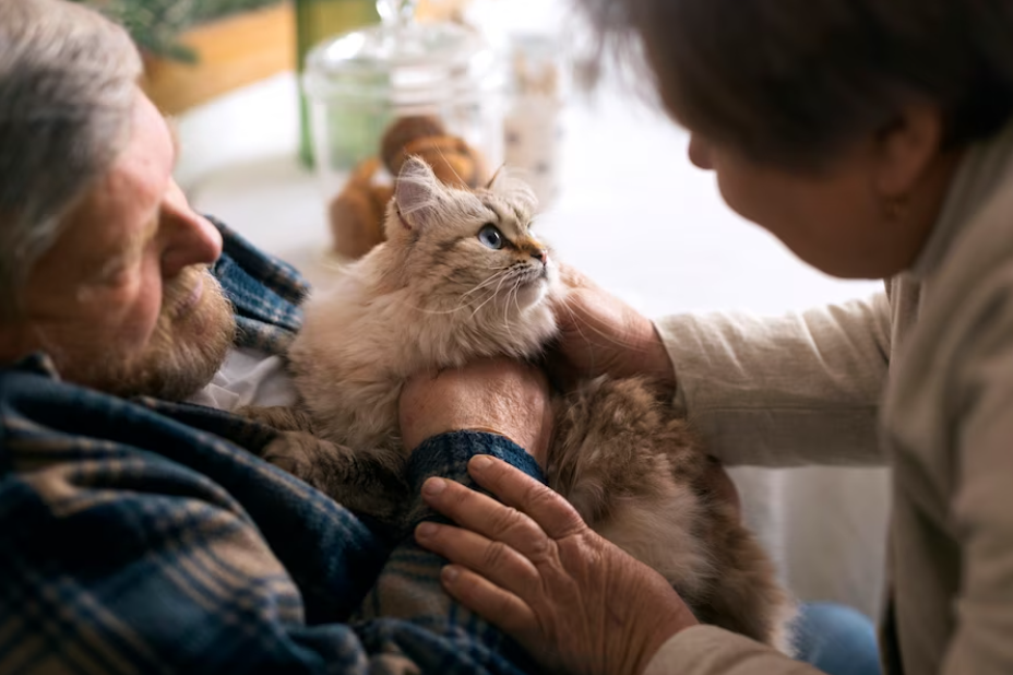 Senior Pets Care and Nutritional