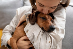 Adopting a Hypoallergenic Dog - Tips for Allergy-Friendly Pet Ownership