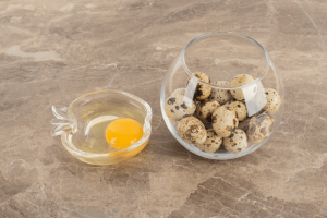 Are Eggshells Good for Dogs? Discover the Nutritional Benefits and Various Uses!
